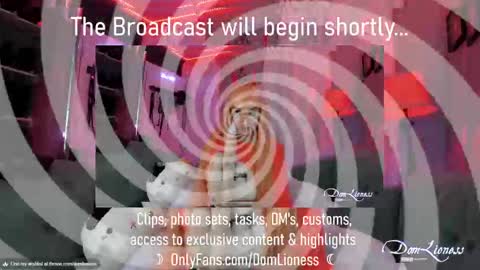 Snapshot of domlioness chatting on 10-31-25, 11:17 DomLioness online show from 10-31-25, 11:17