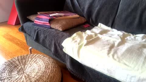 Alfredo online show from 01-15-25, 09:02