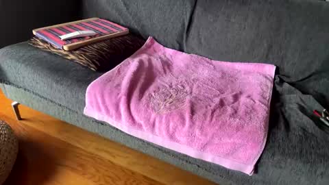 Alfredo online show from 02-13-26, 10:55