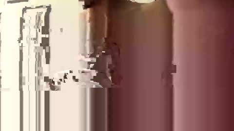 donnie206 online show from 01-06-26, 06:17