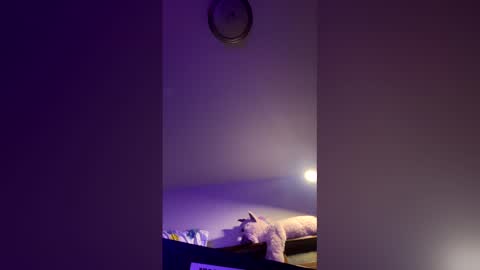 doodlez224472 online show from 04-16-26, 01:56