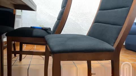 doogal233595 online show from 10-30-25, 11:33