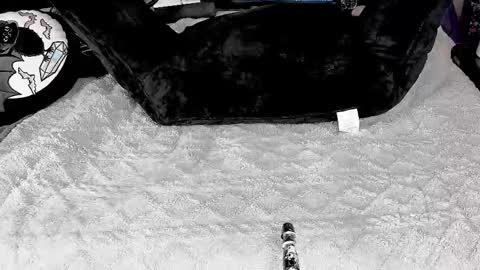 DOOM online show from 03-04-25, 05:56