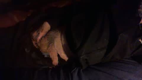 Hello  welcome to Slutsville  I am the Naked Chef  really  but you may call me Peter online show from 01-08-26, 06:32