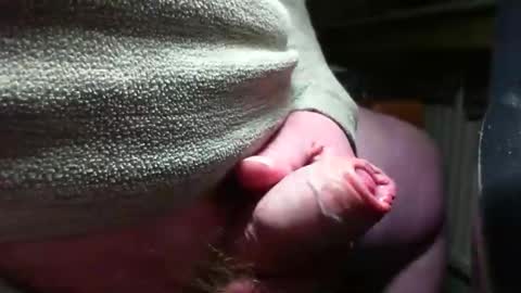 doscard online show from 12-14-24, 11:34