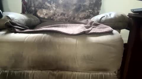 Snapshot of dotcom0063 chatting on 11-15-25, 06:26 dotcom0062 online show from 11-15-25, 06:26