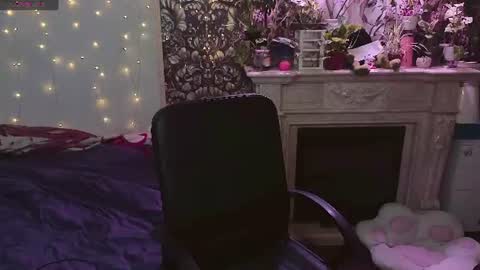 DiBi online show from 07-20-26, 02:52