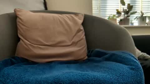 Drayfus online show from 04-25-26, 04:15