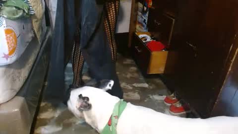 dreamreal online show from 02-08-26, 12:08