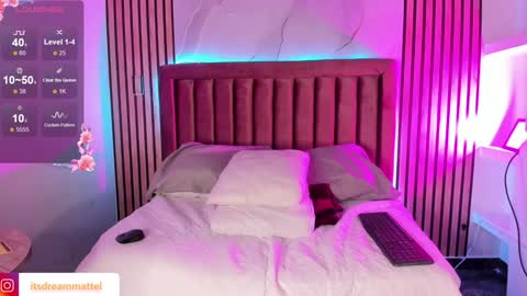 Snapshot of dreammatell_ chatting on 01-28-25, 03:15 Dream Matell online show from 01-28-25, 03:15