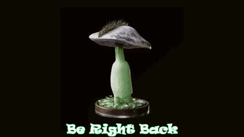 Tara  Sonny online show from 10-02-25, 12:17