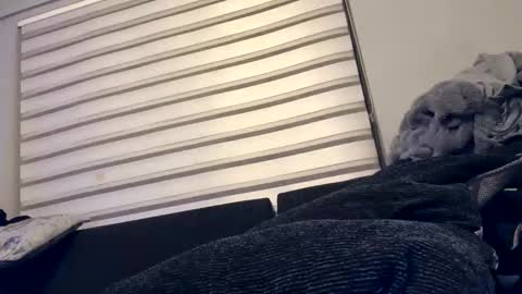 Snapshot of drippinggenie chatting on 12-26-24, 05:08 drippinggenie online show from 12-26-24, 05:08