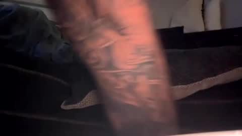 Snapshot of drippinggenie chatting on 01-03-25, 11:25 drippinggenie online show from 01-03-25, 11:25