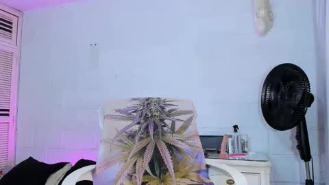 drippyorlove online show from 04-02-26, 08:28