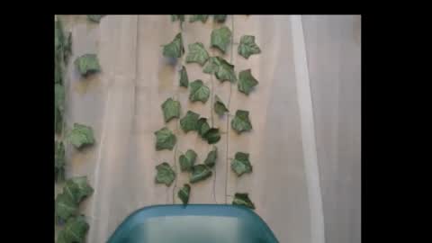 linda online show from 10-08-25, 11:57