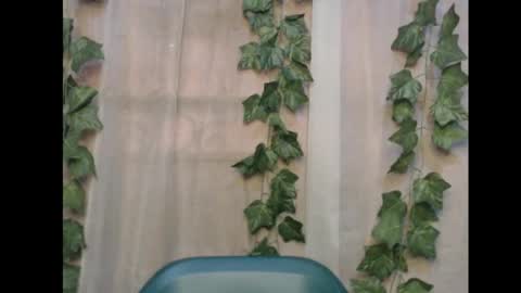 linda online show from 11-16-25, 12:55