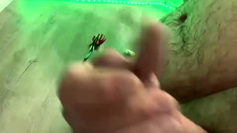 Snapshot of droppingloads82 chatting on 01-01-25, 05:43 droppingloads82 online show from 01-01-25, 05:43