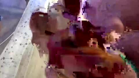 Snapshot of droppingloads82 chatting on 02-01-25, 07:15 droppingloads82 online show from 02-01-25, 07:15