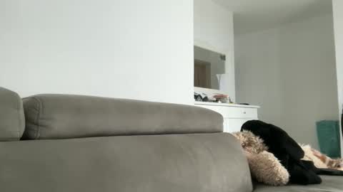 Snapshot of drresa chatting on 10-18-25, 09:54 Dr. Resa online show from 10-18-25, 09:54