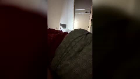 drzinedaj online show from 03-08-26, 02:59