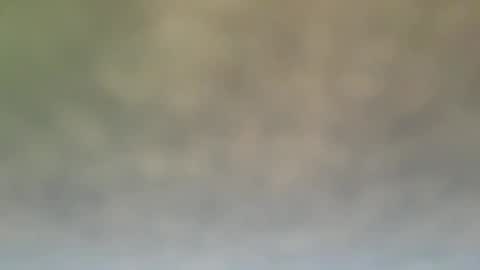 Snapshot of dt51114 chatting on 12-21-24, 06:55 StraightStroker online show from 12-21-24, 06:55