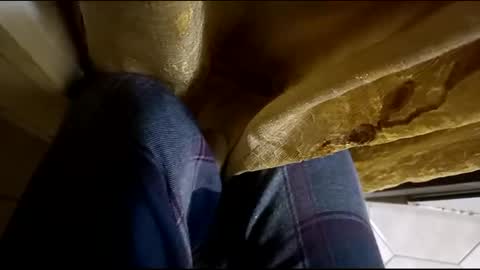 Snapshot of dthedog12 chatting on 03-12-25, 02:09 dthedog12 online show from 03-12-25, 02:09