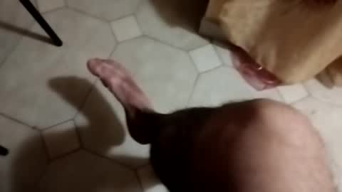 Snapshot of dthedog12 chatting on 09-22-25, 09:28 dthedog12 online show from 09-22-25, 09:28