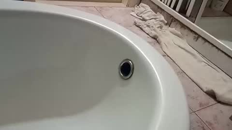 Snapshot of dthedog12 chatting on 11-09-25, 09:46 dthedog12 online show from 11-09-25, 09:46