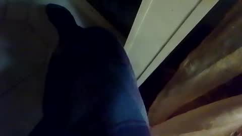 Snapshot of dthedog12 chatting on 01-09-26, 02:14 dthedog12 online show from 01-09-26, 02:14