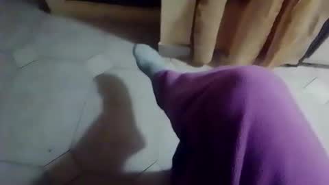 Snapshot of dthedog12 chatting on 02-19-26, 10:06 dthedog12 online show from 02-19-26, 10:06