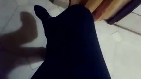 Snapshot of dthedog12 chatting on 03-02-26, 02:35 dthedog12 online show from 03-02-26, 02:35