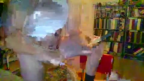 duallines2 online show from 03-14-26, 05:35