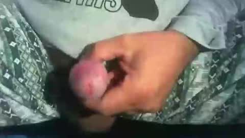 Snapshot of dude_13 chatting on 10-16-25, 04:13 dude_13 online show from 10-16-25, 04:13