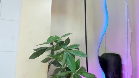 dulce__fiore07 online show from 12-21-25, 12:23