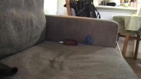 Snapshot of dulcemelo chatting on 03-17-26, 05:05 dulcemelo online show from 03-17-26, 05:05