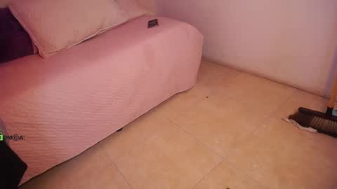 Snapshot of dulcerose01 chatting on 02-27-25, 04:20 Dulce Rose online show from 02-27-25, 04:20