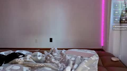 Dust Bunni online show from 05-20-26, 12:11