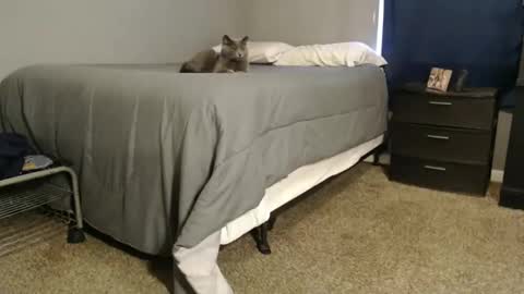 dwhitey4u online show from 12-31-24, 08:02