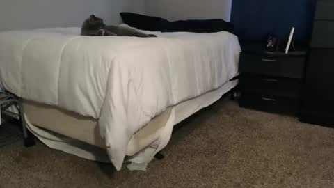 dwhitey4u online show from 11-02-25, 08:00