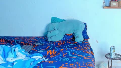 Dylan online show from 02-20-26, 06:26