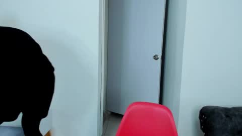 Snapshot of dylantaylor_1 chatting on 10-05-25, 04:00 Dylan Taylor online show from 10-05-25, 04:00