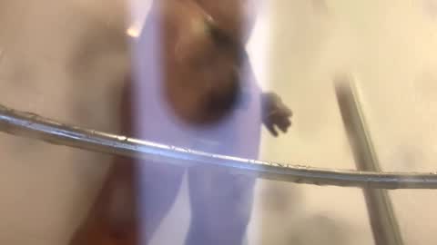 Snapshot of easternjerk chatting on 10-20-25, 12:00 easternjerk online show from 10-20-25, 12:00