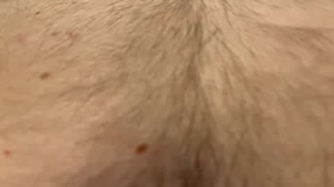 French Guy online show from 04-01-26, 10:40