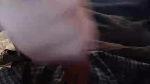 Snapshot of eat_a_peach2 chatting on 11-12-25, 11:43 eat_a_peach2 online show from 11-12-25, 11:43