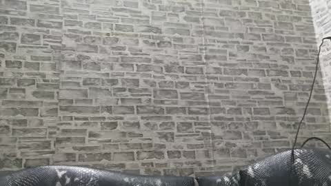 Snapshot of edithmanning chatting on 01-15-25, 03:33 edithmanning online show from 01-15-25, 03:33