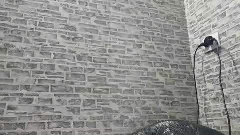 Snapshot of edithmanning chatting on 01-18-25, 11:11 edithmanning online show from 01-18-25, 11:11