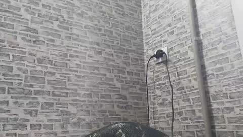 Snapshot of edithmanning chatting on 01-21-25, 09:03 edithmanning online show from 01-21-25, 09:03