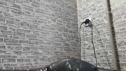 Snapshot of edithmanning chatting on 02-10-25, 12:29 edithmanning online show from 02-10-25, 12:29