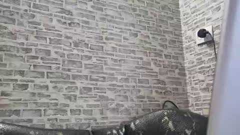 Snapshot of edithmanning chatting on 02-18-25, 01:55 edithmanning online show from 02-18-25, 01:55