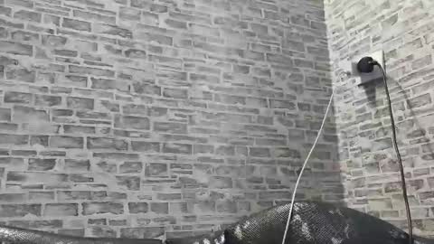 Snapshot of edithmanning chatting on 02-27-25, 02:10 edithmanning online show from 02-27-25, 02:10